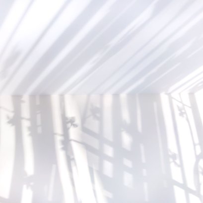 ความงามของลูกกรง