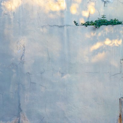 ธรรมชาติไม่มีลำดับชั้น เพียงแต่อยู่คนละที่