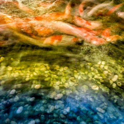 เราหมุนไปกับโลก และโลกไม่เคยหยุดหมุน