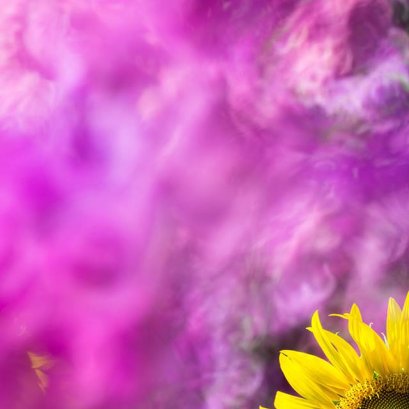 สวัสดี...วันแรก