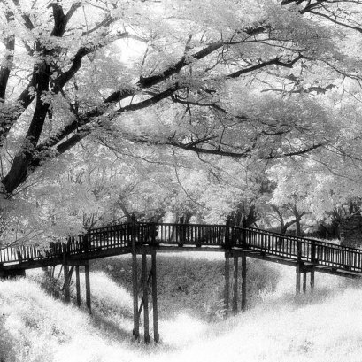 บันทึกเส้นทาง ก่อนกำเนิด ผลงานชุด....