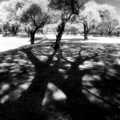 หลังจากมีแรงบันดาลใจในการถ่ายภาพ....