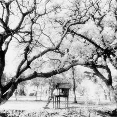 แนวคิด ภาพ ศรัทธา