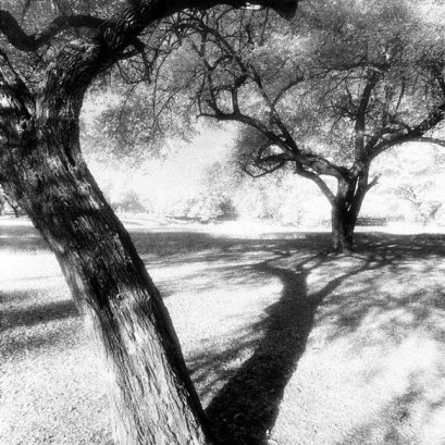 แนวคิด ภาพจากงานรากไทย