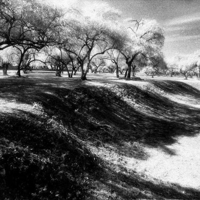 แนวคิด ในงาน รากไทย