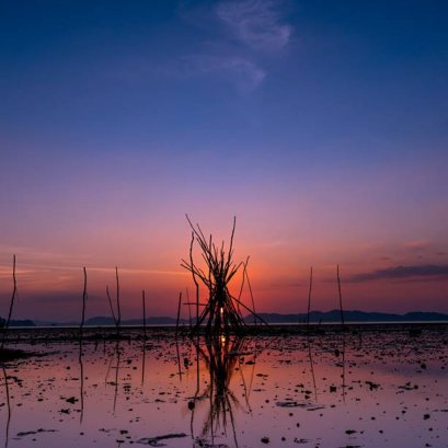 ลอง แนวคิด กับ keyword