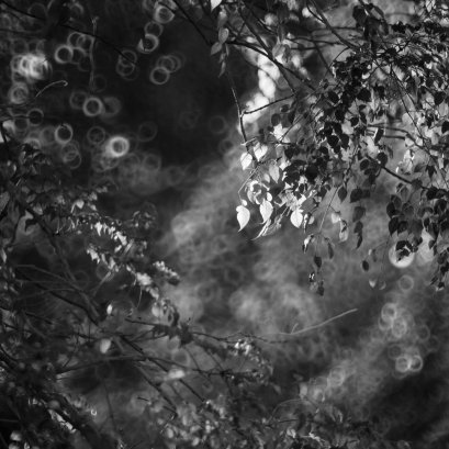 บันทึกการเดินทาง