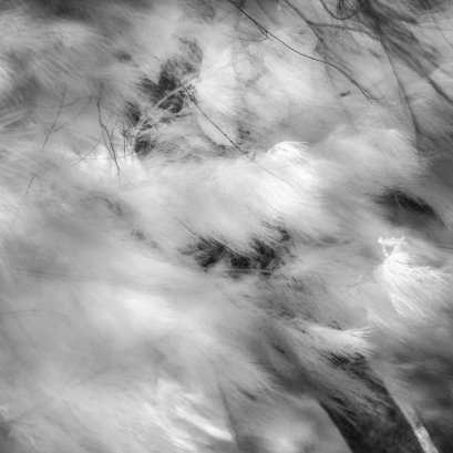 infrared digital blackandwhite 