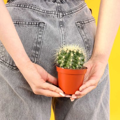 ริดสีดวงรักษาธรรมชาติด้วยท่าโยคะ