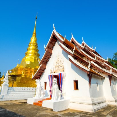 ปีกระต่าย 