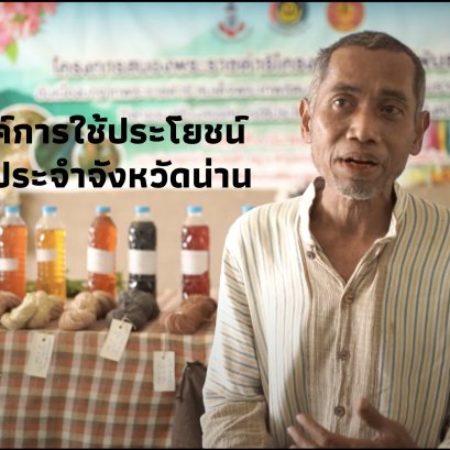 Creative utilization of Nan province's trees.