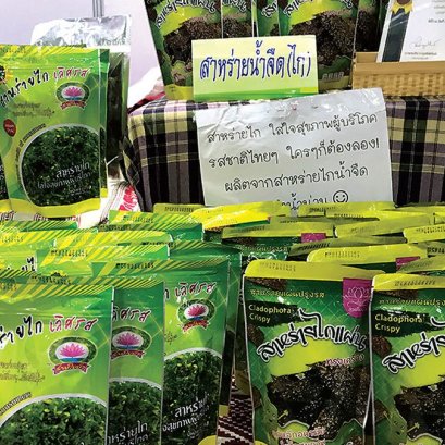 Taste seaweed, The taste of abundance of the Nan River.