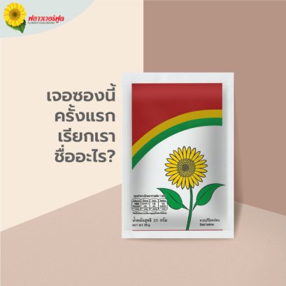 เมล็ดทานตะวัน