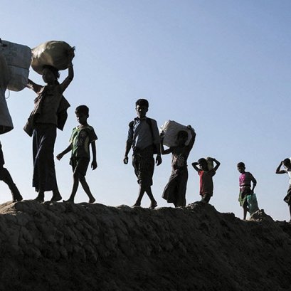 MIR/BIR Public Lecture Series