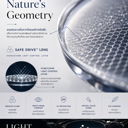 Safe Drive Lens คำตอบของการมองเห็นที่ดีกว่า อาจซ่อนอยู่ในธรรมชาติ