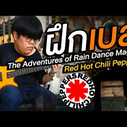 ฝึกเบส Red Hot Chili Peppers - The Adventures of Rain Dance Maggie