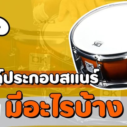 กลองสแนร์ แยกส่วน มีอะไรบ้างให้เกิดเสียง สแนร์?