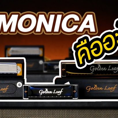 Hamonica คืออะไร? และมีกี่ประเภท