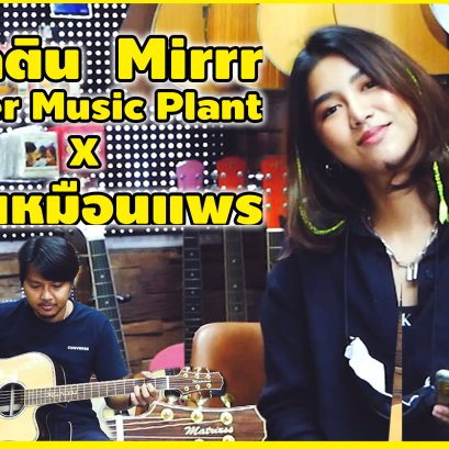 นิโคติน Mirrr Cover by Music Plant X กิ่ง เหมือนแพร นิโคติน Mirrr Cover by Music Plant X กิ่ง เหมือนแพร