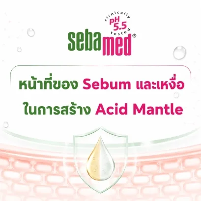 หน้าที่ของ_Sebum_และเหงื่อ_ในการสร้าง