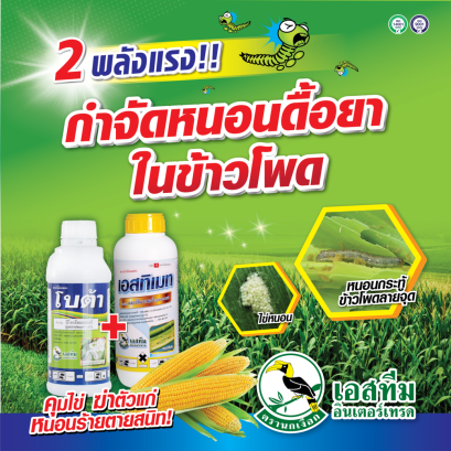 2 พลังเเรง กำจัดหนอนดื้อยาในข้าวโพด โบต้า+เอสทิเมท