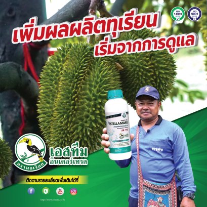 ทุเรียนติดดอกดี ผลผลิตเพิ่ม ต้องเริ่มจากการบำรุง!