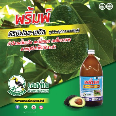 ป้องกันกำจัดเพลี้ยแป้งและเพลี้ยหอยในอะโวคาโด ต้องใช้ “พริ์มพ์”