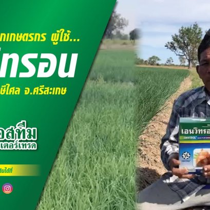 อีกหนึ่งเสียงจากเกษตกร ผู้ใช้ผลิตภัณฑ์  "เอนวิทรอน"  ในหอม จ.ศรีสะเกษ