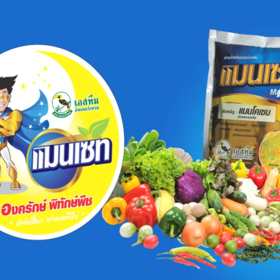 Manzate สาร Mancozeb 80% WP