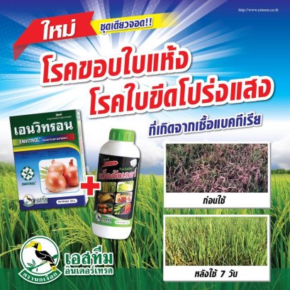 เอนวิทรอน+แบ็คคัลเลอร์ เพิ่มภูมิคุ้มกันของโรคจากเชื้อราและแบคทีเรีย