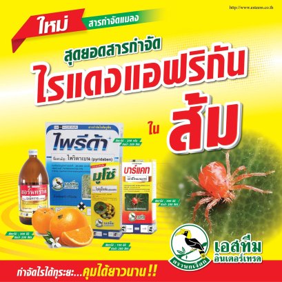 ตัวเล็กๆ แต่ปัญหาหญ่าย...ใหญ่