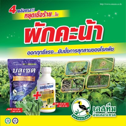บลูเซต + เบอร์บาตอฟ 4 พลังแรง หยุดเชื้อร้ายในคะน้า