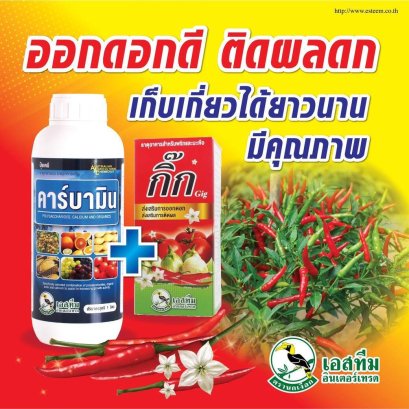 ออกดอกดี เก็บผลดก กิ๊ก + คาร์บามิน