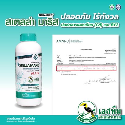 มั่นใจ ปลอดภัย ไร้กังวลจากสารแคดเมียม (Cd) และ Basic Yellow 2 (Auramine O)
