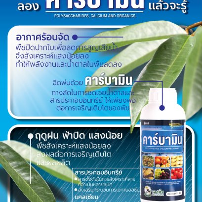 อีกหลายเรื่องที่คนใช้ คาร์บามิน ...เค้ารู้กัน (2)