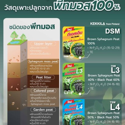 เอสทีมซุปเปอร์พีท พีทมอสแท้ 100%