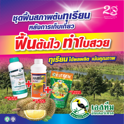 สเตลล่า มาริส+ทรู ซิงค์+ปุ๋ยเอสทีม (เขียว) ฟื้นต้นไว ทำใบเขียว