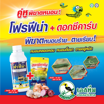 โฟรฟีน่า + ดอกซีคาร์บ พิฆาตหนอนในหอม