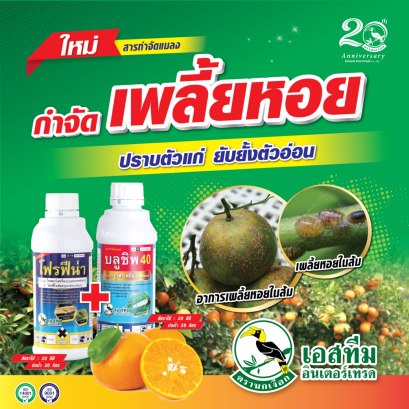 กำจัดเพลี้ยหอย ปราบตัวแก่ ยับยั้งตัวอ่อน โฟรฟีน่า + บลูชิพ 40