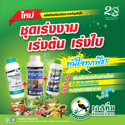 ชุดเร่งงาม เร่งต้น เร่งใบ ทันใจในทุกพืช