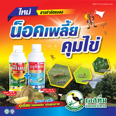น็อคเพลี้ย คุมไข่ในทุเรียน ใช้ บลูชิพ 40+ฟีโนบุ