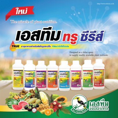 เอสทีม ทรู ซีรีส์