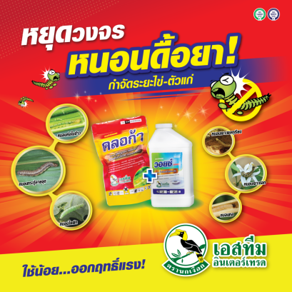 หยุดครบวงจร หนอนดื้อยา! ตั้งแต่ระยะไข่-ตัวเต็มวัย คลอก้า + วอยซ์