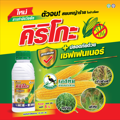 ตัวจบ สยบหญ้าในข้าวโพด คิริโกะ