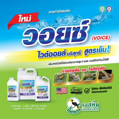 วอยซ์ ไวต์ออยล์ บริสุทธิ์สูตรเย็น