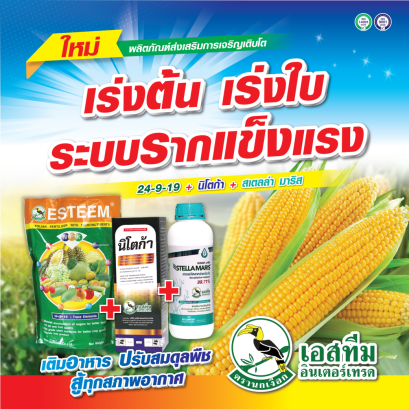 ชุดเร่งต้น เร่งใบ เสริมระบบราก