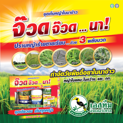 ชุดเก็บหญ้าในนาข้าว จ๊วด จ๊วด นา