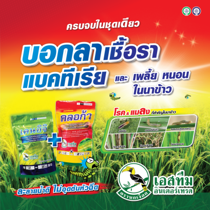 ครบจบทั้งโรคพืชและเเมลงศัตรูพืช เคนอิจิ + คลอก้า