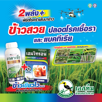 ข้าวสวย ปลอดโรค ด้วย อาคาเซีย+เอมวิทรอน