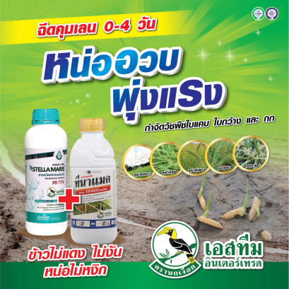 เสริมหน่อข้าวให้อวบ พุ่งแรง และกำจัดวัชพืชใบแคบ ใบกว้าง และกก